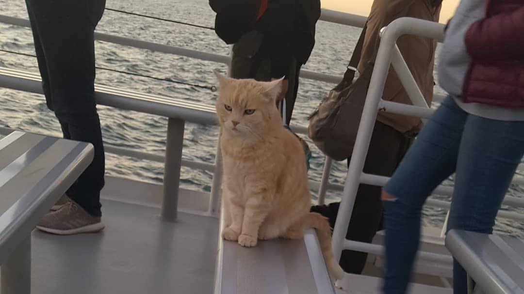 正に絶景！フレーザー島は世界一大きな砂の島【オーストラリア回顧録】